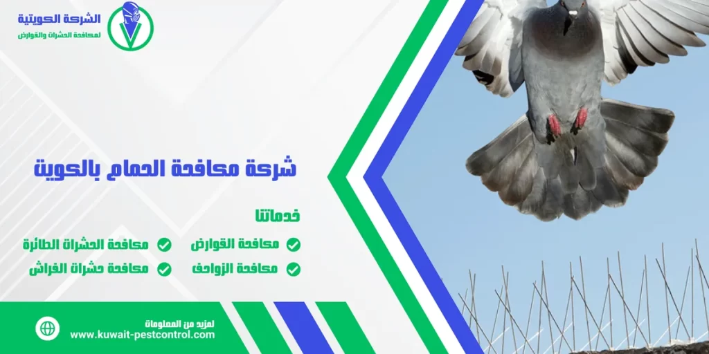 شركة مكافحة الحمام بالكويت
