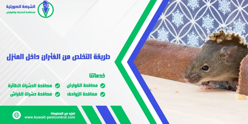 طريقة التخلص من الفئران داخل المنزل