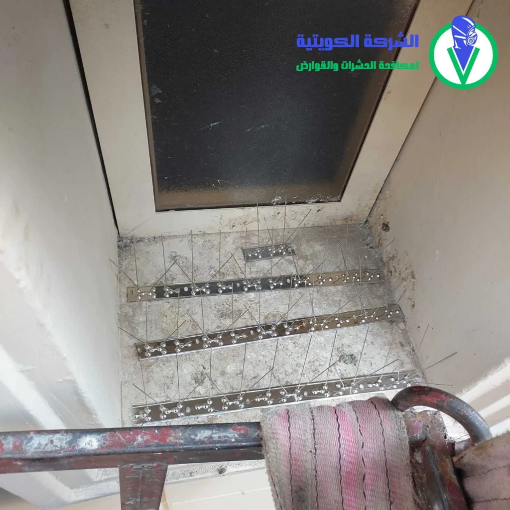 طوارد الحمام