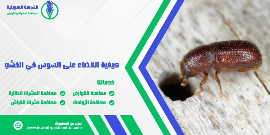 كيفية القضاء على السوس في الخشب