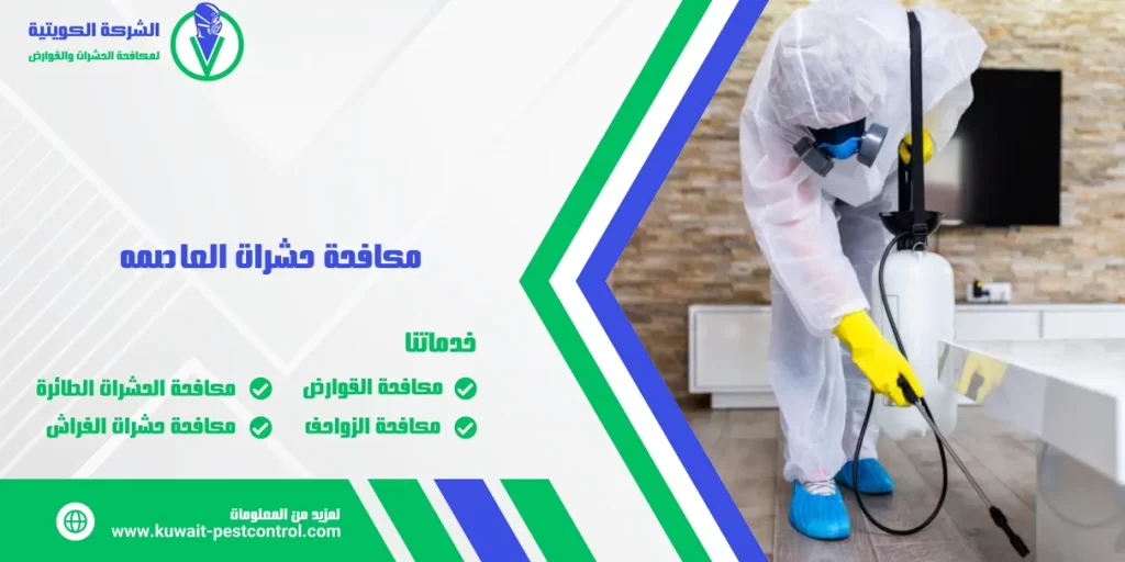 مكافحة حشرات العاصمه 