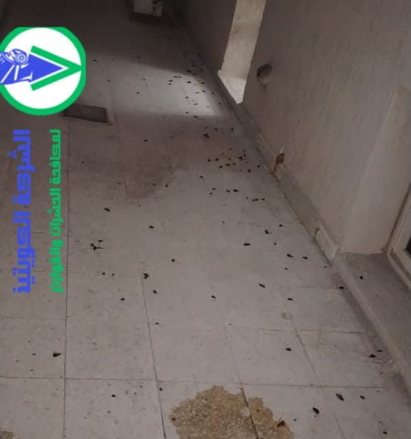 مكافحة الحشرات