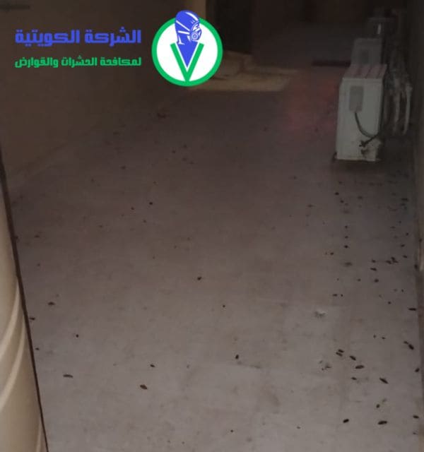شركة مكافحة الفئران