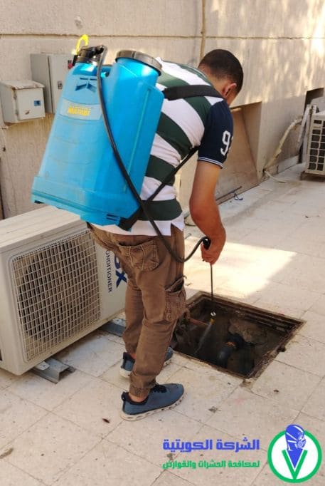 رش حشرات ​