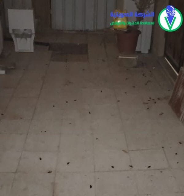 ابادة الحشرات