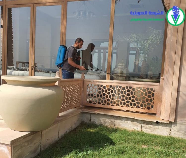 بخ حشرات