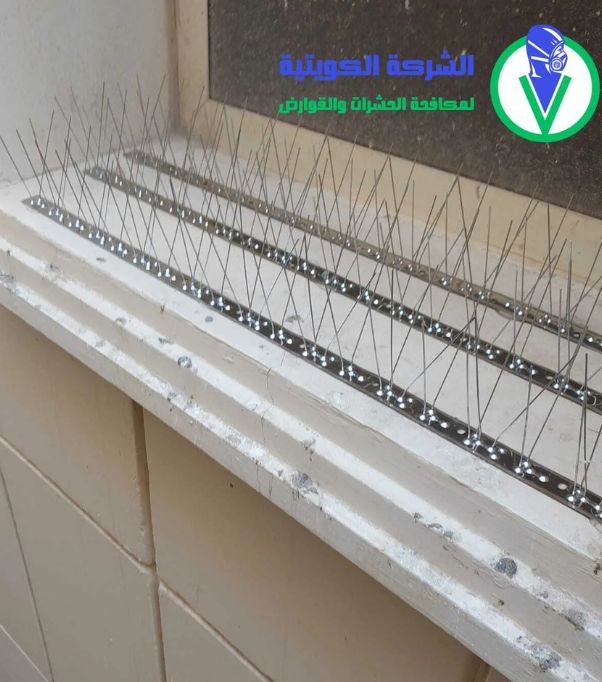 شبك نوافذ ستيل