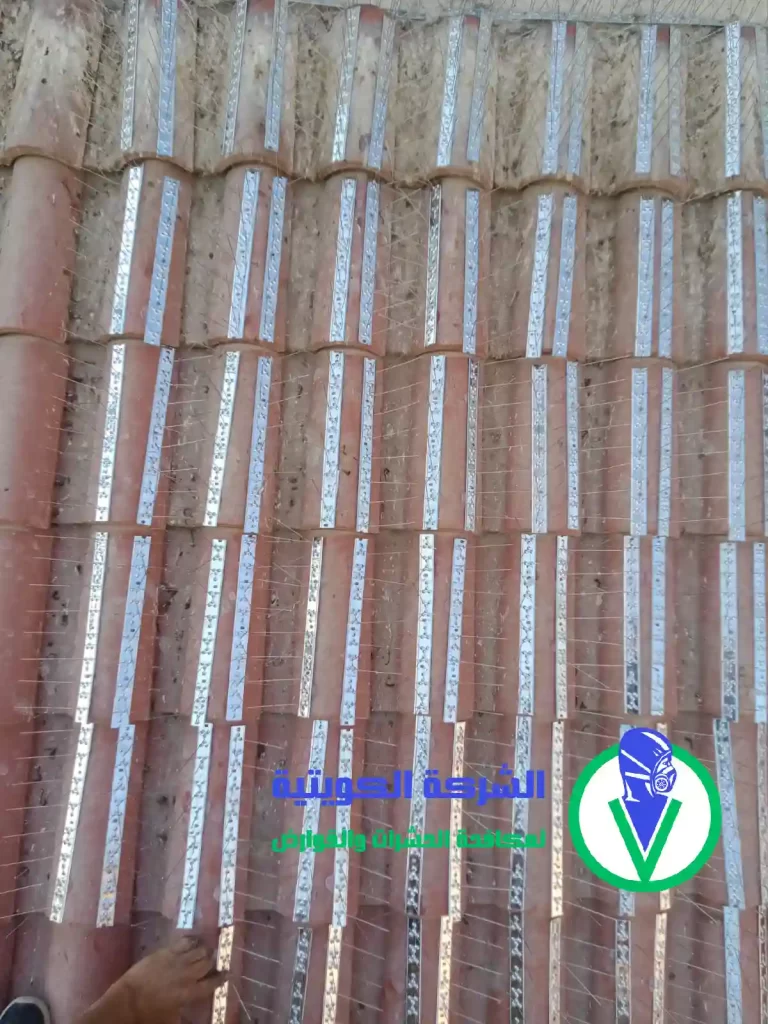 مكافحة الحمام