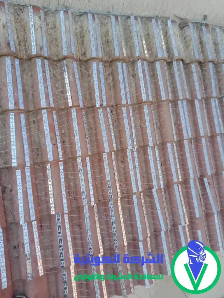 اشواك الحمام