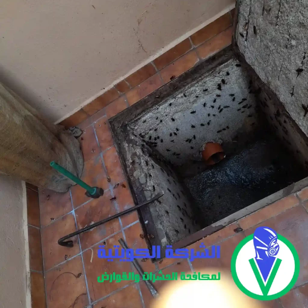 مكافحات الحشرات