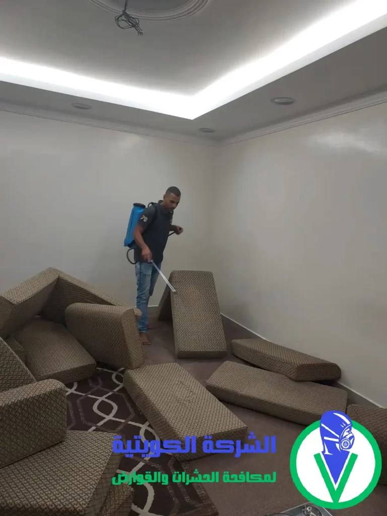 مكافحه النمل بالبيت