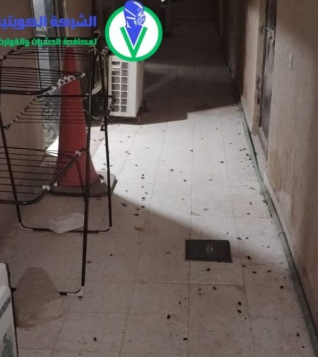 مكافحة القوارض