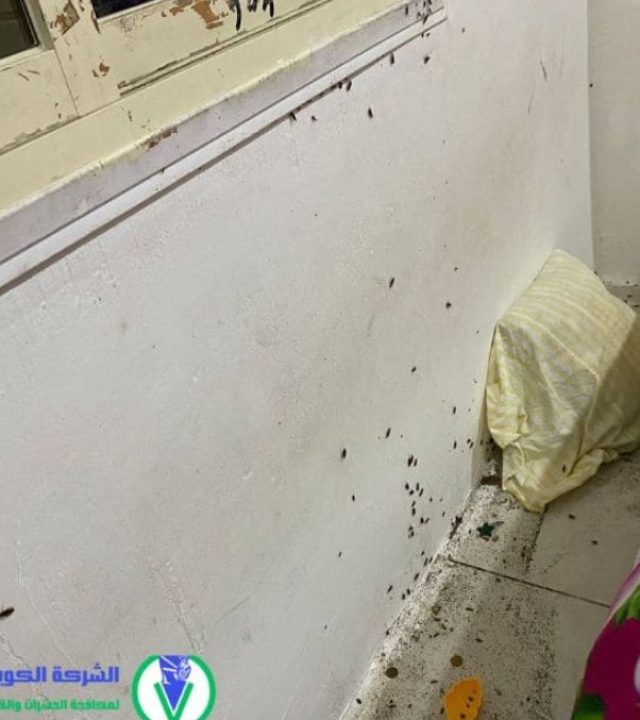 مكافحة الصراصير