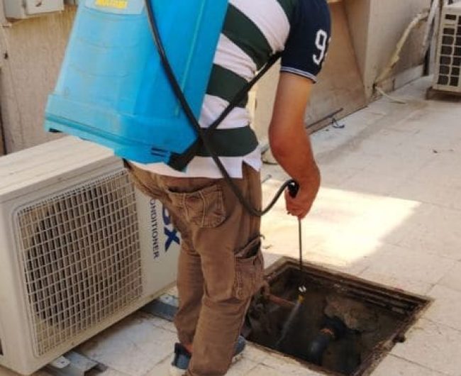 مكافحة حشرات وقوارض